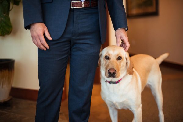 Sadie the Office Dog Getting Pet